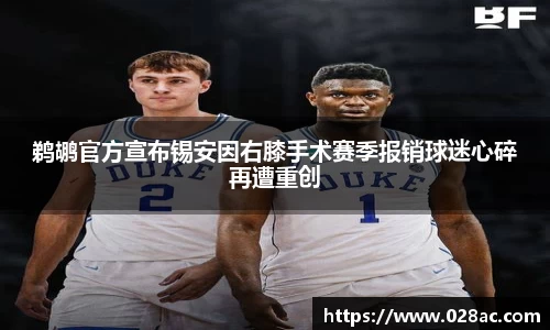 鹈鹕官方宣布锡安因右膝手术赛季报销球迷心碎再遭重创