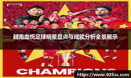 越南血统足球明星盘点与成就分析全景展示